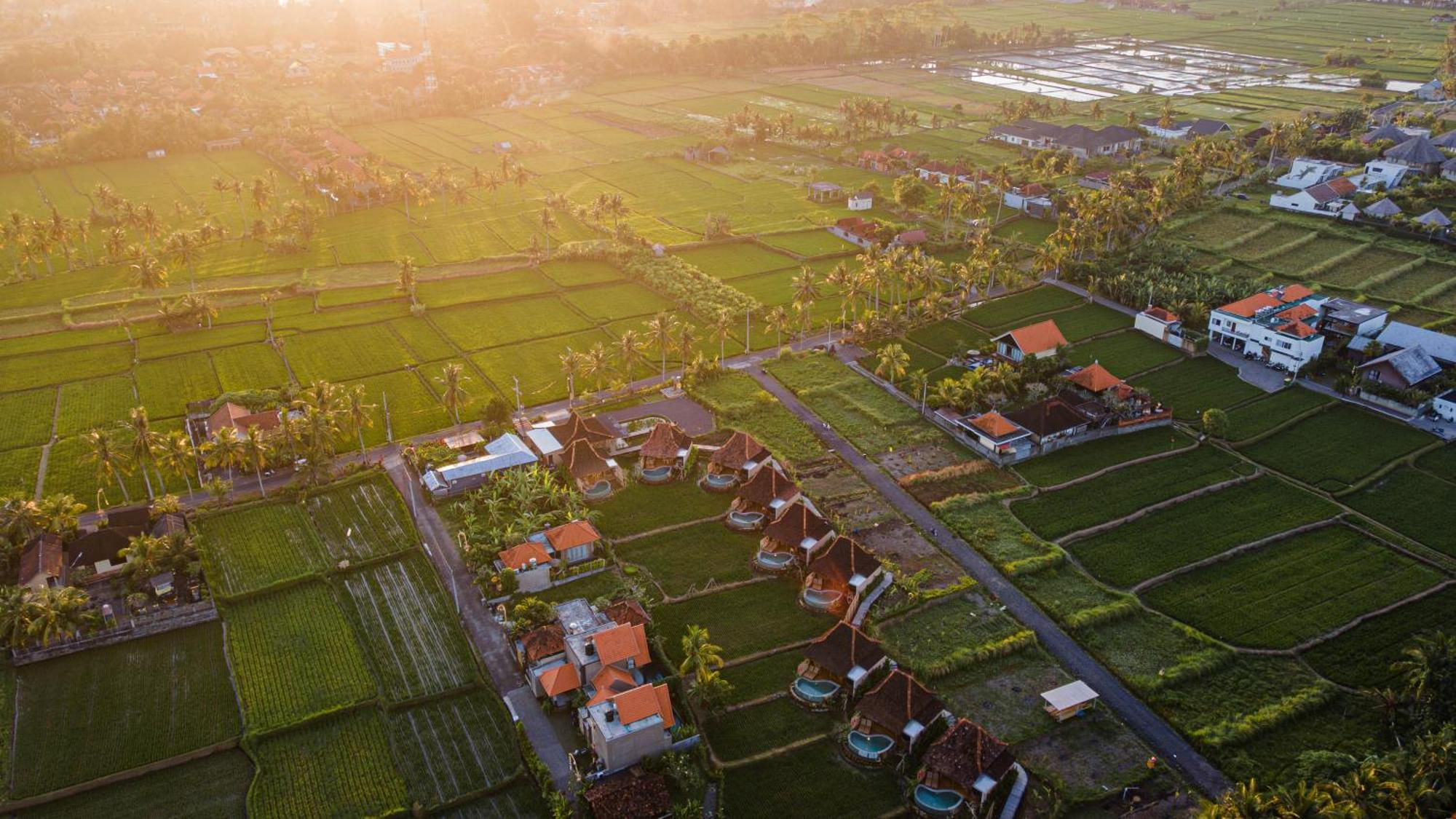 Ikada Villa By Pramana Villas 乌布 外观 照片